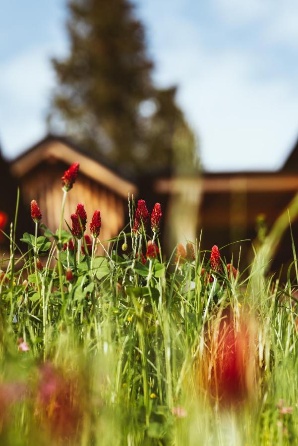 Hideaway Hotel Montestyria Chalets & Suiten Mariazell Exteriér fotografie